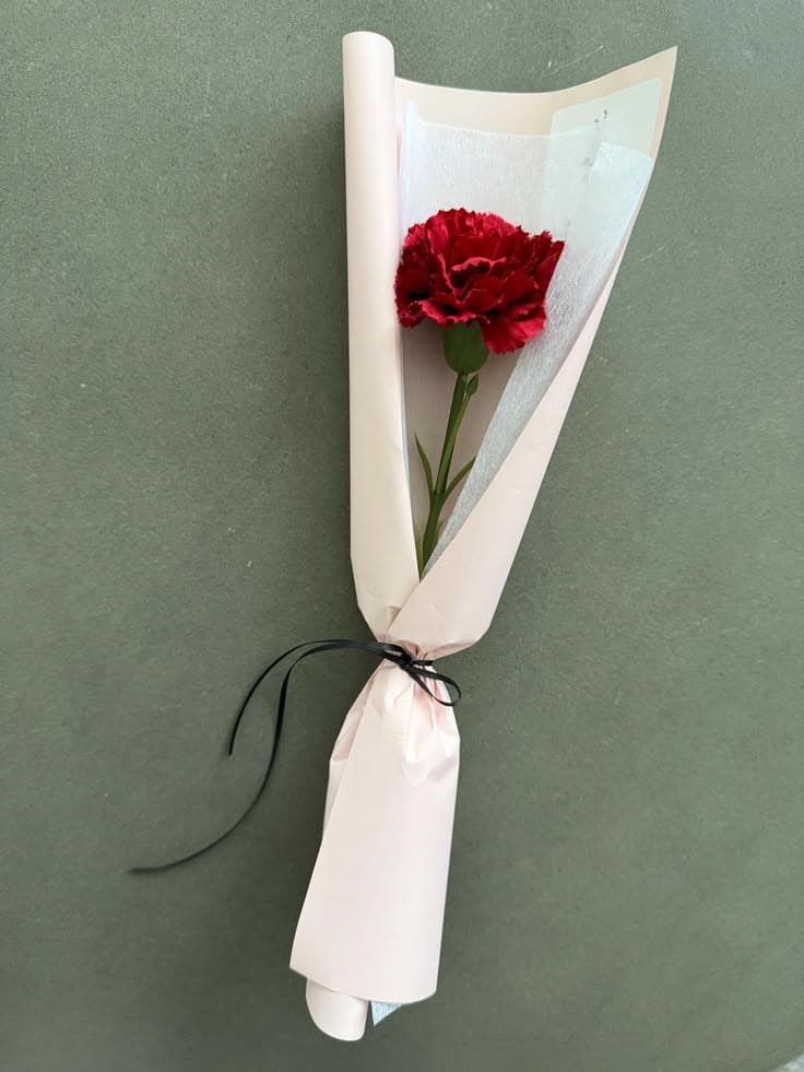 Mothers Day Single Carnation