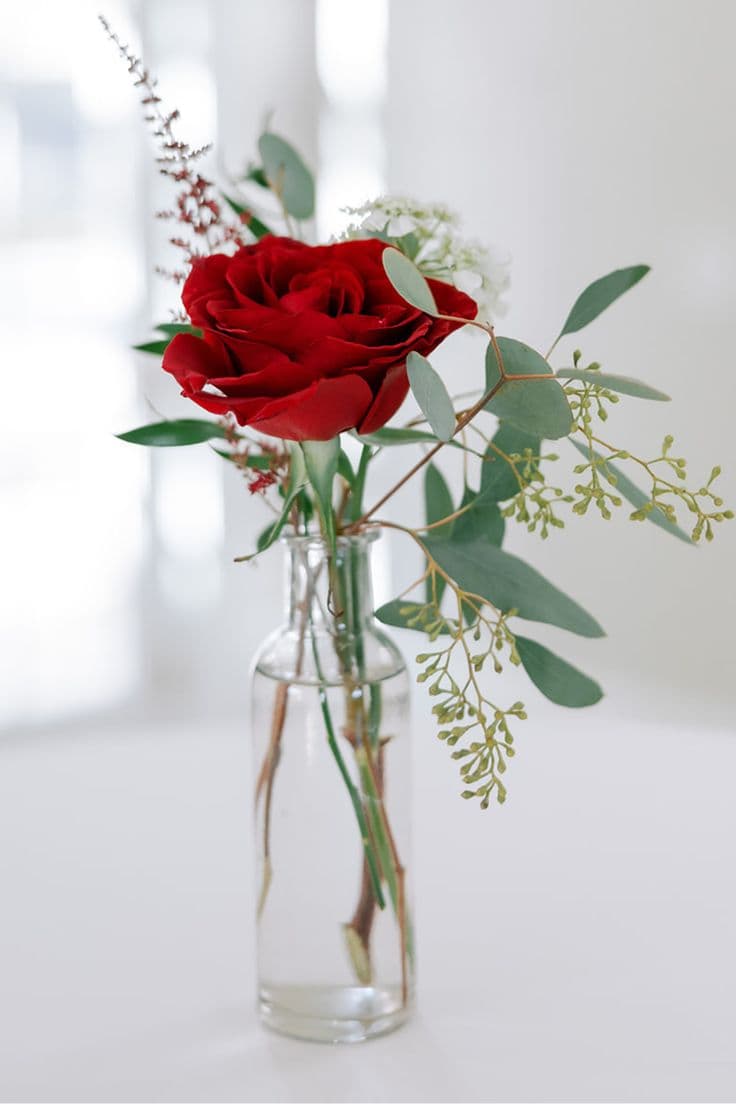 Red Roses