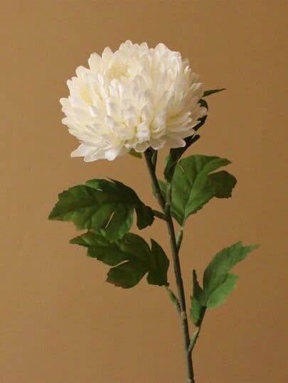 Pristine White Chrysanthemum