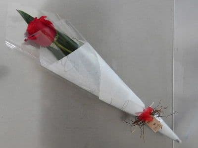Twigs Florist Gold Coast