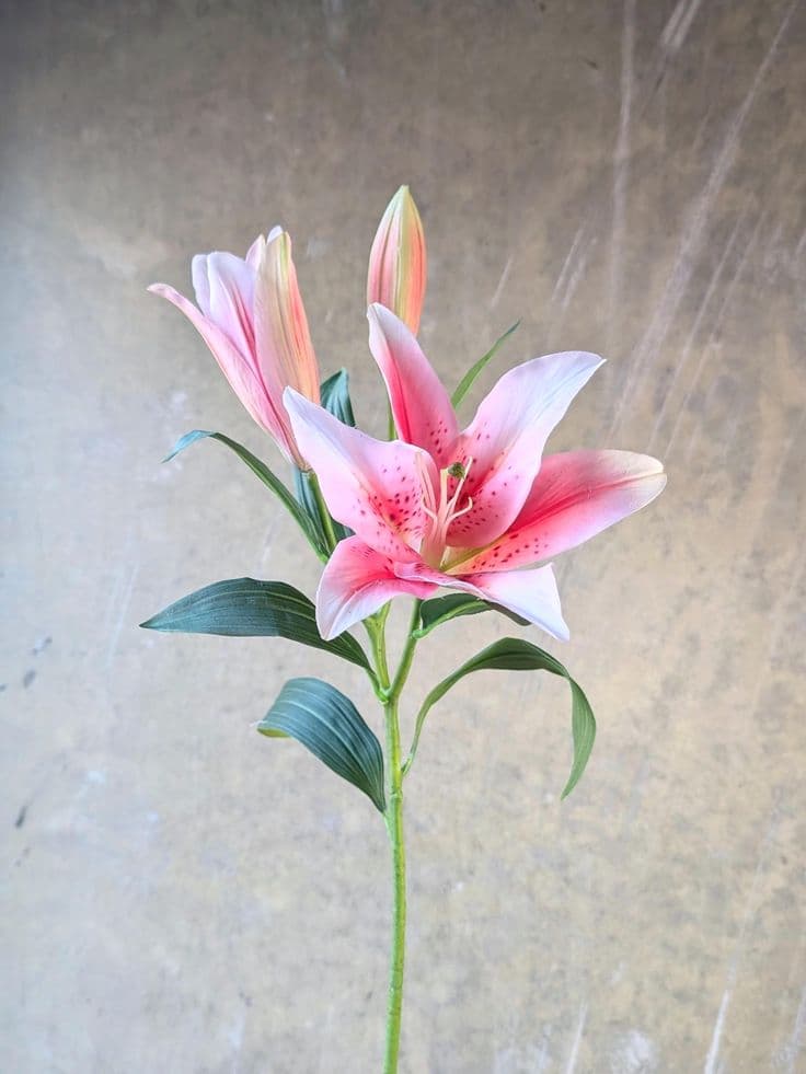 Real Touch Pink Lily